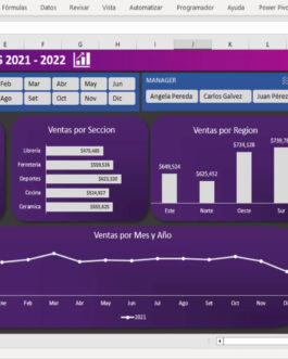 Dashboard Dinámico para Excel